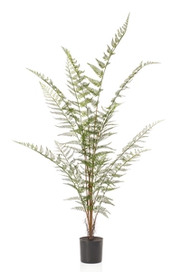 Forest fern 120cm
