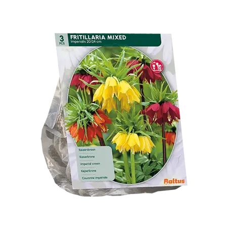 Fritillaria Imperialis Mixed per 3