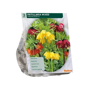 Fritillaria Imperialis Mixed per 3