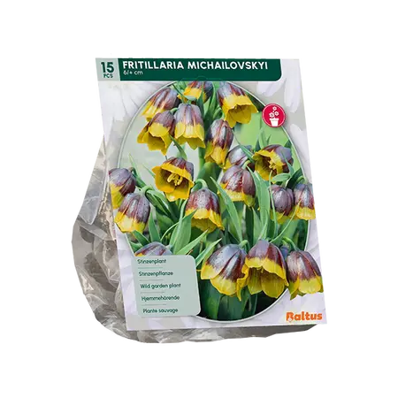 Fritillaria Michailovskyi per 15