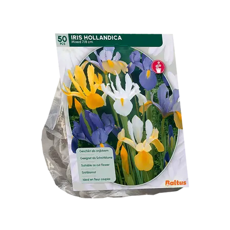 Iris Hollandica per 50