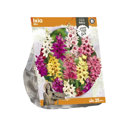 Ixia Mix5