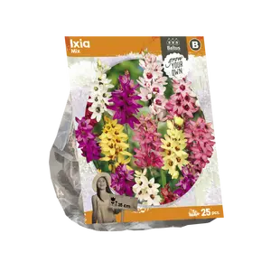 Ixia Mix5