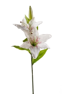 Lily spray 65cm
