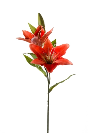 Lily spray 65cm