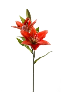 Lily spray 65cm
