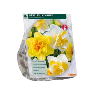 Narcis Dubbel Mix per 15