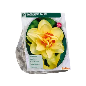 Narcis Dubbel Tahiti per 10