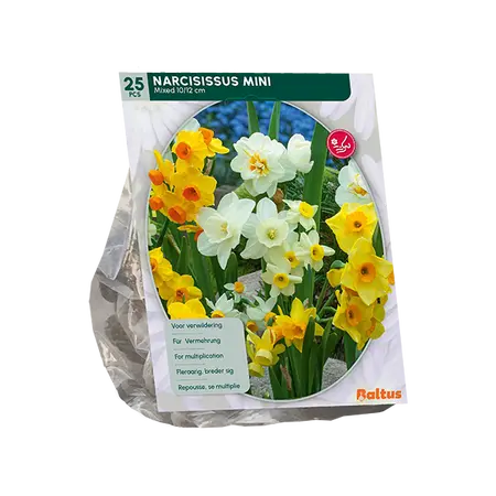 Narcis Mini Mix per 25