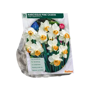 Narcis Pink Charm per 15