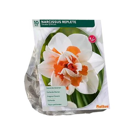 Narcis Replete per 10