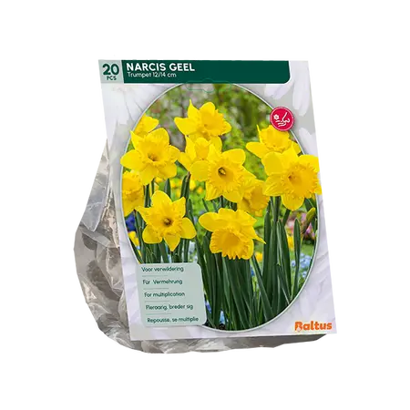 Narcis Trompet, Geel per 15
