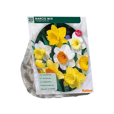 Narcis Trompet, Mix per 15