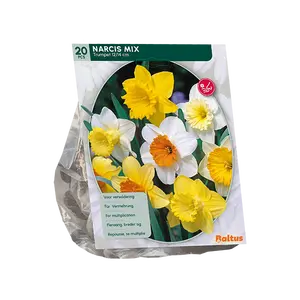 Narcis Trompet, Mix per 15