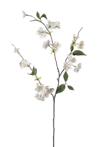 Peach Blossom Cream 80cm