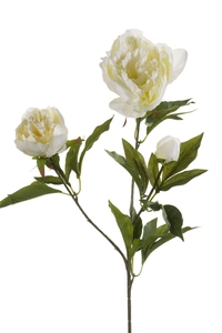 Peony spray 70cm