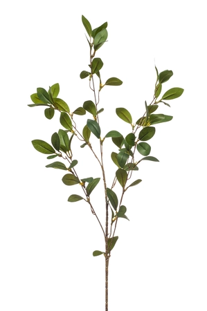 Ruscus spray 90cm