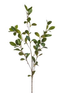 Ruscus spray 90cm
