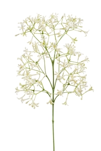Saxifraga flower spray 63cm cream