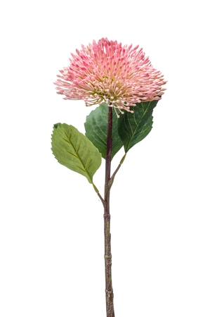 Sedum branch 43cm pink