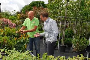 Tuinplanten