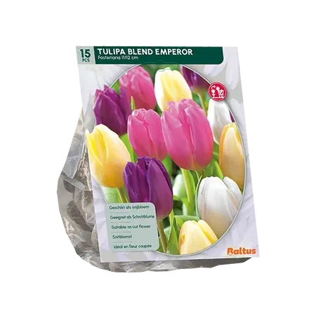 Tulipa Blend Emperor per 15