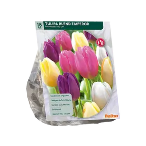 Tulipa Blend Emperor per 15