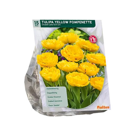 Tulipa Dubbel Laat Yellow Pompenette per 15