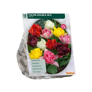 Tulipa Dubbel Mix per 15
