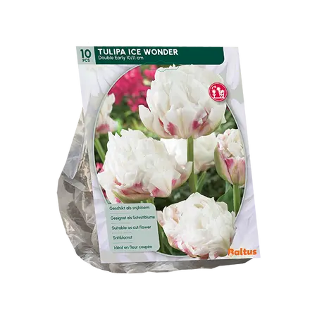 Tulipa Dubbel Vroeg Ice Wonder per 10