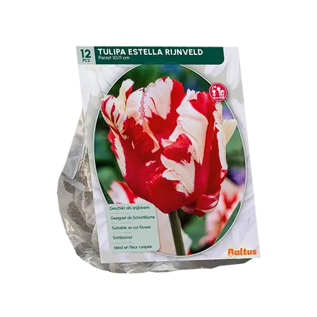 Tulipa Estella Rijnveld, Parkiet per 12
