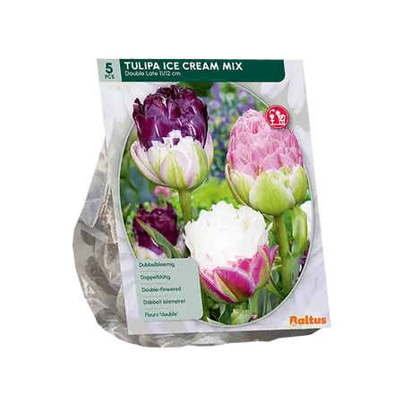 Tulipa Ice Cream mix per 5