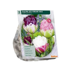 Tulipa Ice Cream mix per 5