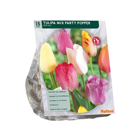Tulipa Mix Party Popper per 15