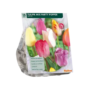 Tulipa Mix Party Popper per 15