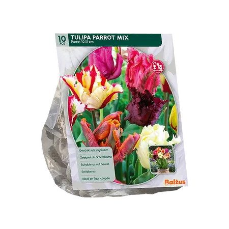 Tulipa Parkiet Mix per 10