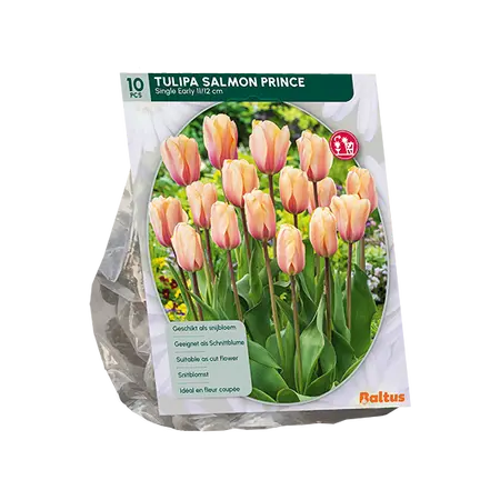 Tulipa Salmon Prince, Enkel Vroeg per 10