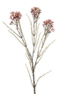 Wax flower spray x3 old pink 79cm